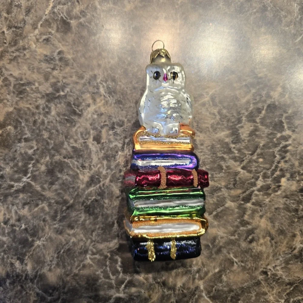 Vintage 1997 Christopher Radko HOO DUNNIT Glass‎ Ornament 97-194-0 Owl Books